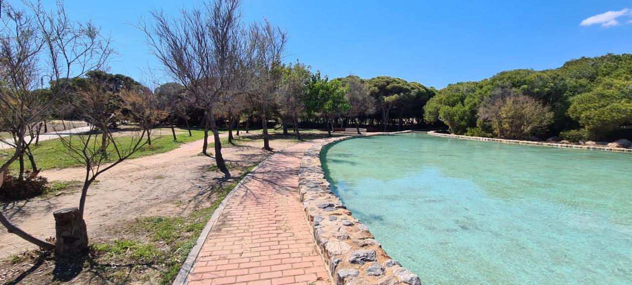 Apartmán Sofia La Mata La Mata  Exteriér fotografie