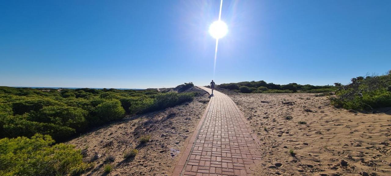 Apartmán Sofia La Mata La Mata  Exteriér fotografie