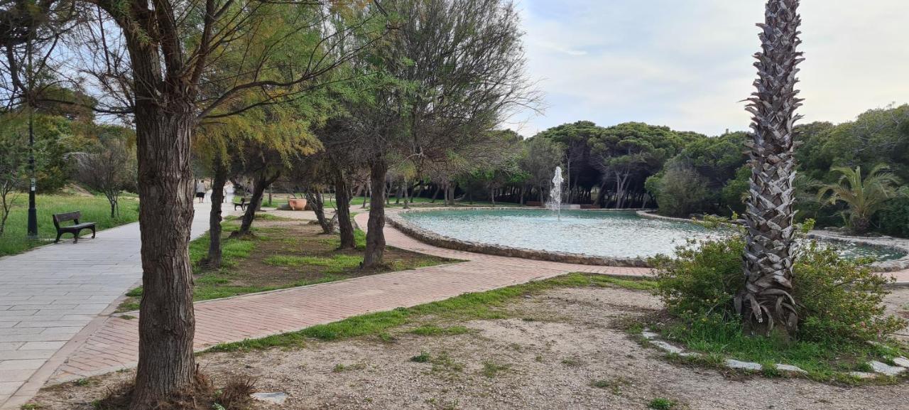 Apartmán Sofia La Mata La Mata  Exteriér fotografie