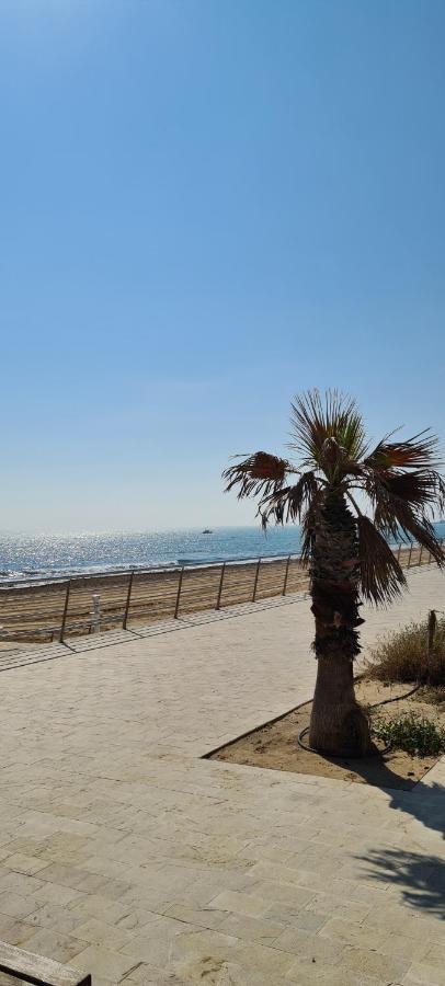Apartmán Sofia La Mata La Mata  Exteriér fotografie