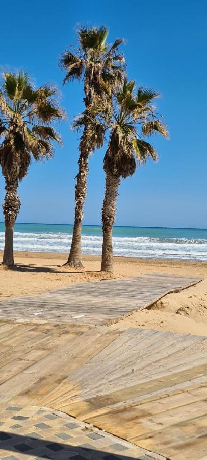 Apartmán Sofia La Mata La Mata  Exteriér fotografie