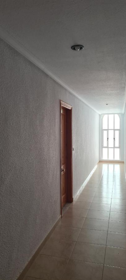 Apartmán Sofia La Mata La Mata  Exteriér fotografie