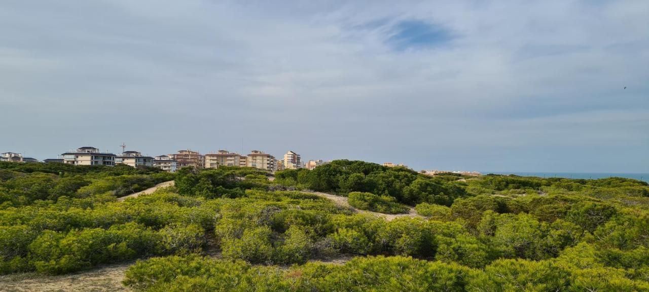 Apartmán Sofia La Mata La Mata  Exteriér fotografie