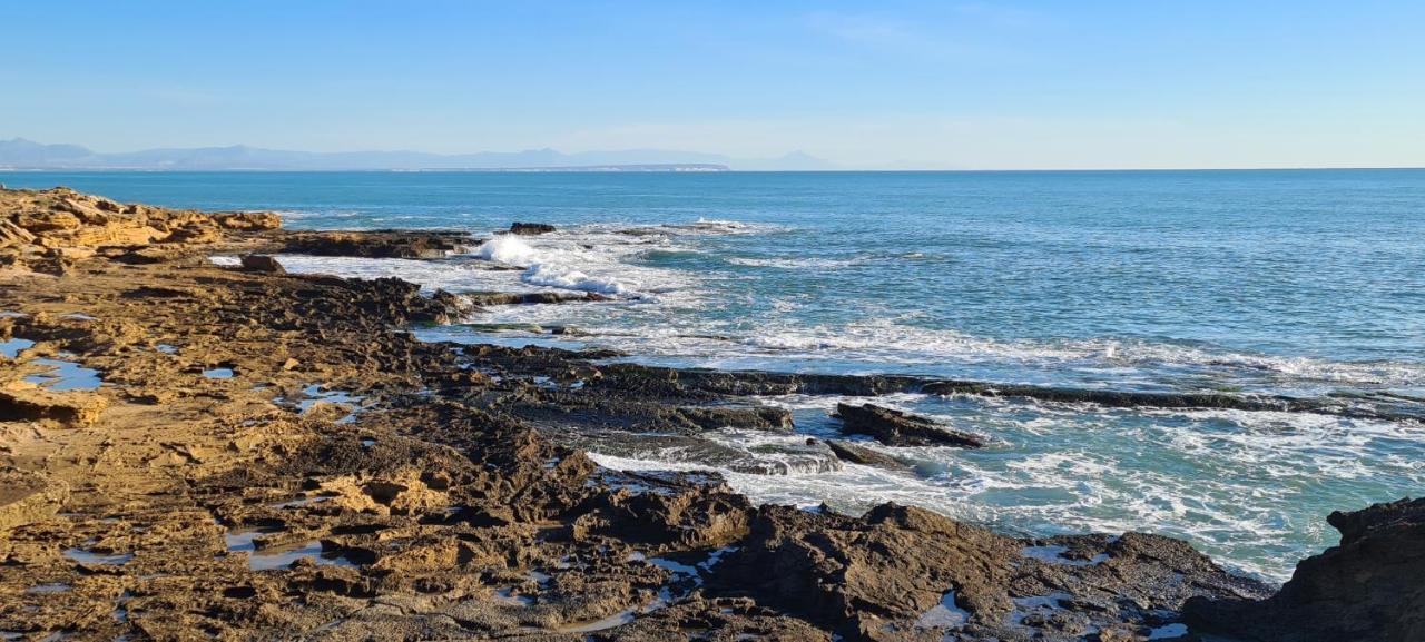 Apartmán Sofia La Mata La Mata  Exteriér fotografie